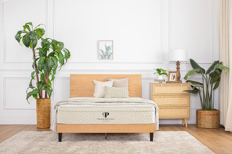 PlushBeds Hybrid Mattress - The Savvy Bliss
