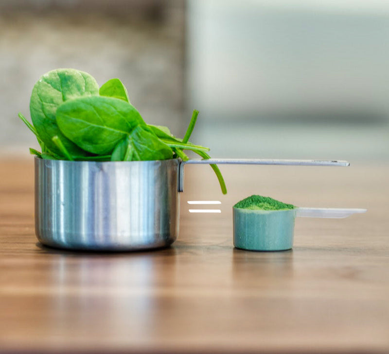 KOYAH Organic Spinach Powder