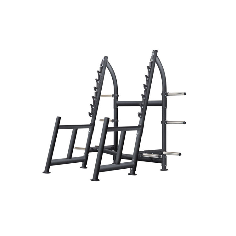 SportsArt A965 Squat Rack