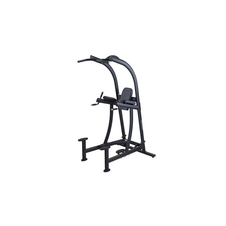 SportsArt A994 Dip/Pull-Up/Vkr