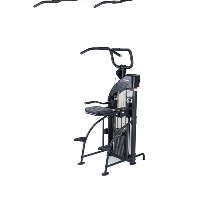 SportsArt Df-307/P711 Performance Dual Function Chin-Up/Tricep Dip
