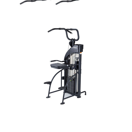 SportsArt Df-307/P711 Performance Dual Function Chin-Up/Tricep Dip