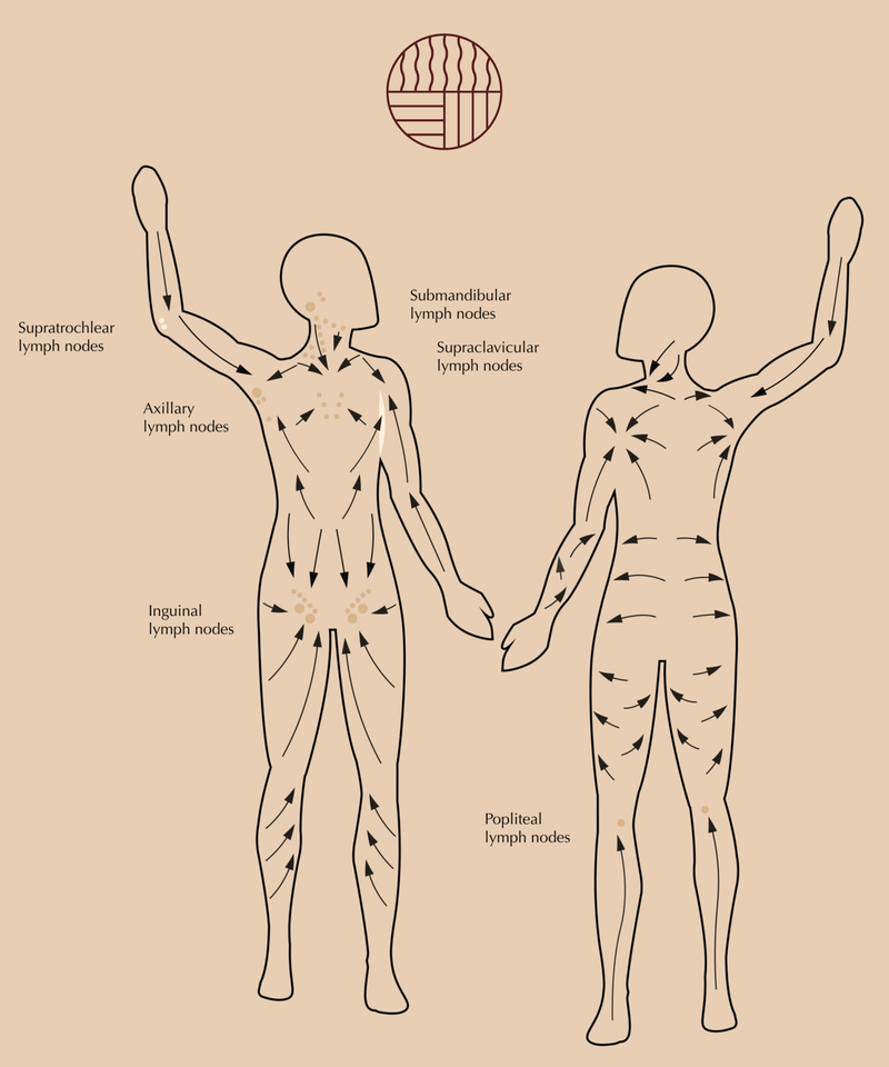 Embrace The Heat Flow | Body Gua Sha