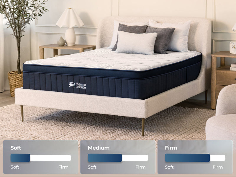 ThermoBalance LX