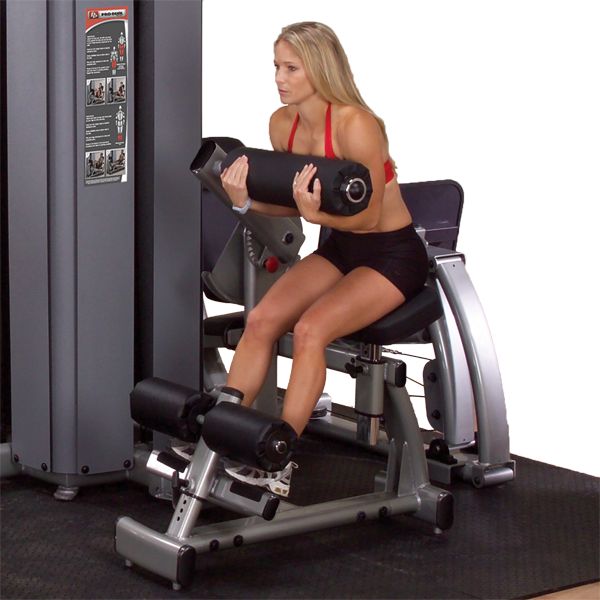 Body-Solid DABBS DGYM Pro Ab  Back Component 3D View