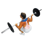 Body-Solid Manta-Ray Squat Attachment Top View