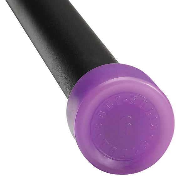 Body-Solid Tools 6lb Fitness Bar (Light Purple)