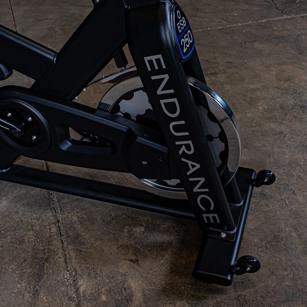 Body Solid Endurance Indoor Exercise Bike ESB250