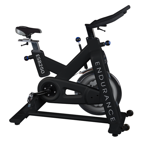 Body Solid Endurance Indoor Exercise Bike ESB250
