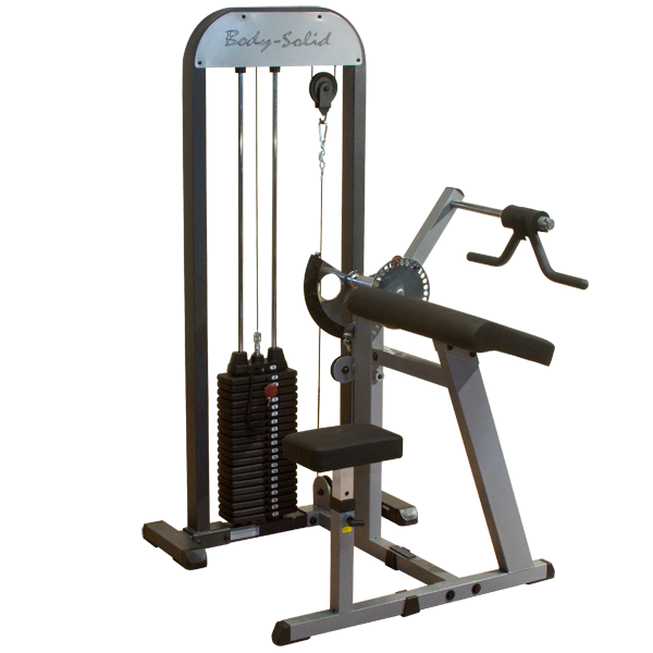 Body Solid Pro Select Bicep Triceps