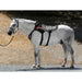 Game Ready Equine Back Wrap