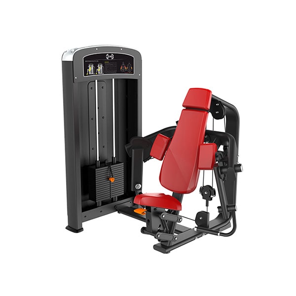 Muscle D Fitness Bicep Curl 3D View