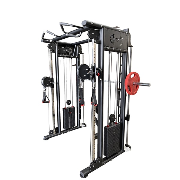 Muscle D Fitness DAPSMITH Machine Combo MDM-DPSM 3D View