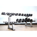 Muscle D Fitness Double Dumbbell Rack MD-DDR 3D View