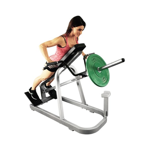 Muscle D Fitness Leverage Row 3D View