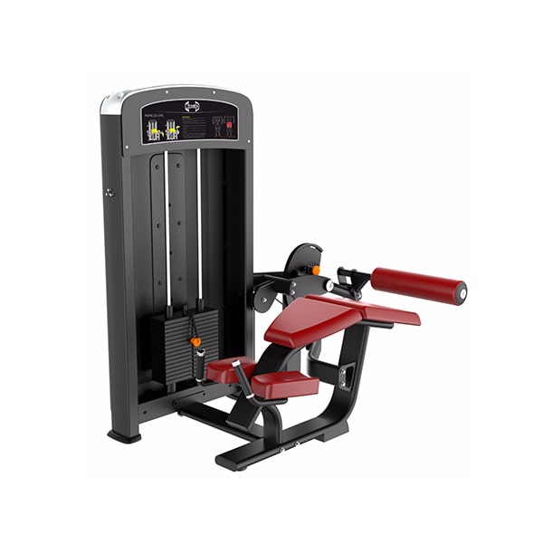 Muscle D Fitness Prone Leg Curl 3D View