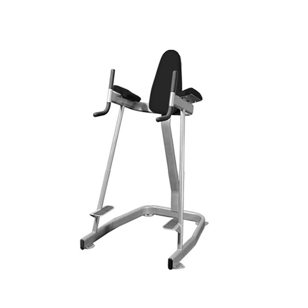 Muscle D Fitness Vertical Knee Raise – Elite Series BM-VKR 3D View