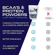 PureClean Performance PureClean FUNDAMINOS™ Comparison