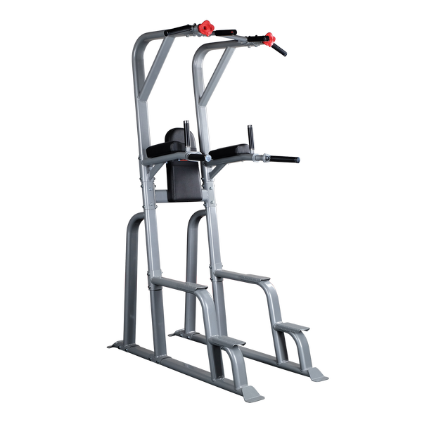 Body Solid ProClub Line Vertical Knee Raise Chin Dip
