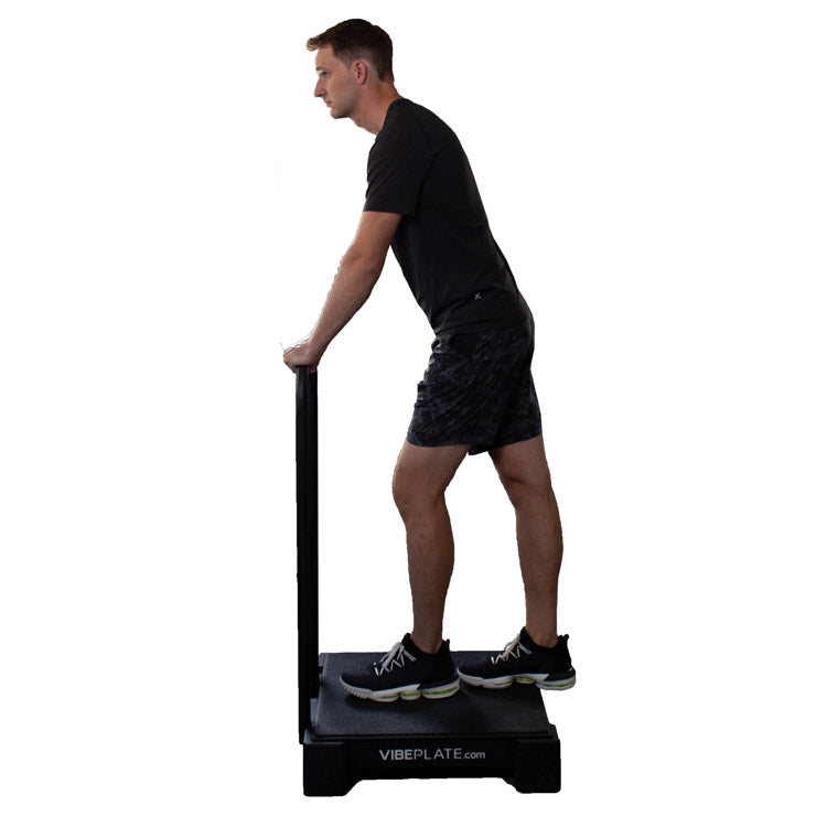 VibePlate 2424 Full Body Vibration Machine in Steel
