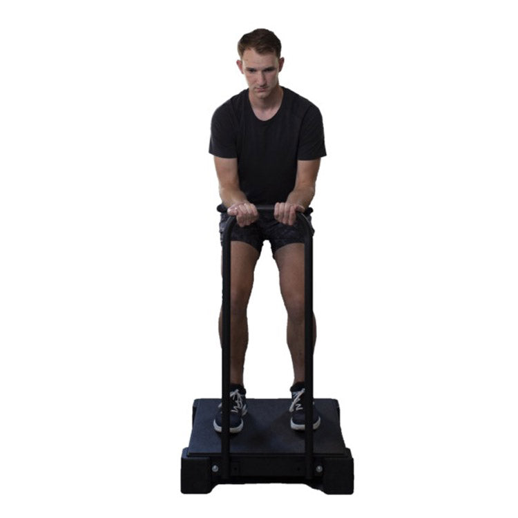VibePlate 2424 Vibration Platform