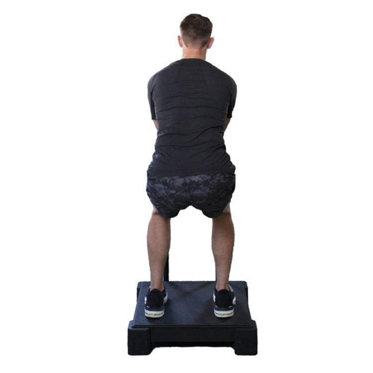 VibePlate 2424 Vibration Platform