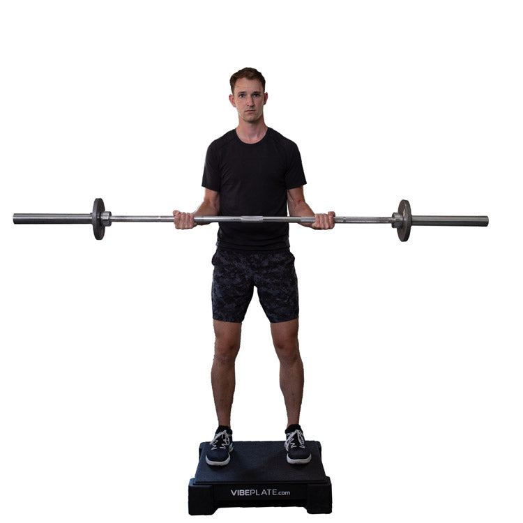 VibePlate 2424 Vibration Platform