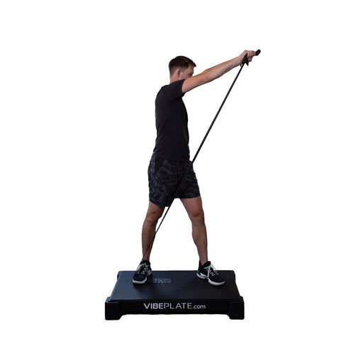 VibePlate 2440 Vibration Platform