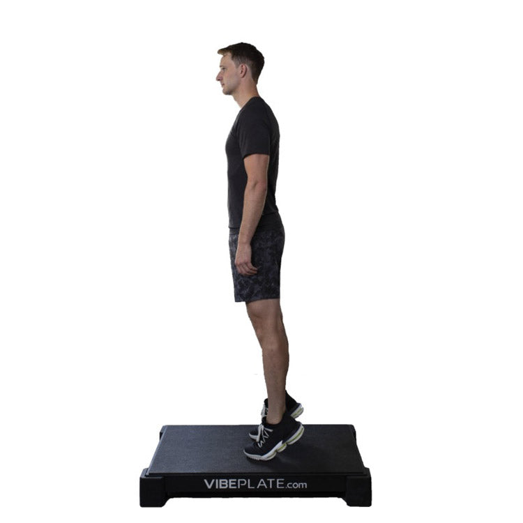 VibePlate 2440 Vibration Platform