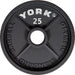 York Barbell 2 Cast Iron Olympic Weight Plates 25 lbs