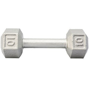 York Barbell Cast Iron Hex Dumbbell 10 lbs