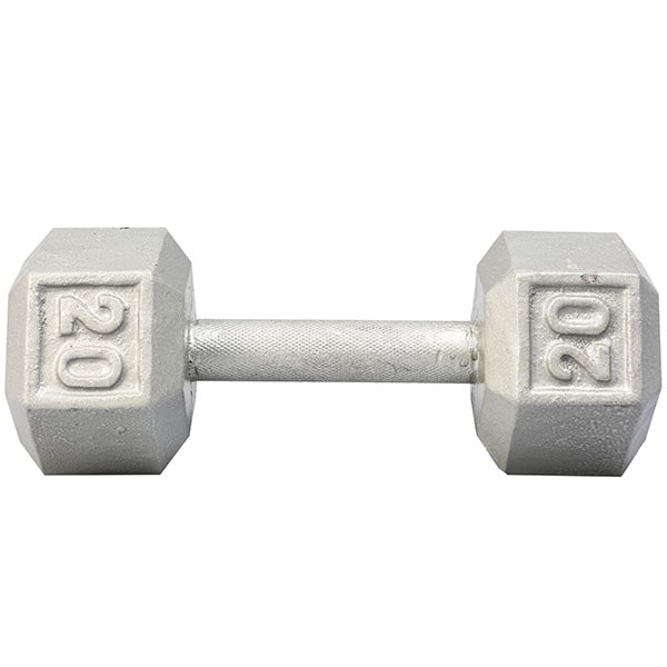 York Barbell Cast Iron Hex Dumbbell 20 lbs