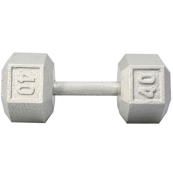 York Barbell Cast Iron Hex Dumbbell 40 lbs