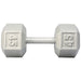 York Barbell Cast Iron Hex Dumbbell 45 lbs