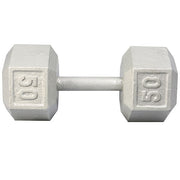 York Barbell Cast Iron Hex Dumbbell 50 lbs
