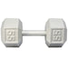 York Barbell Cast Iron Hex Dumbbell 55 lbs