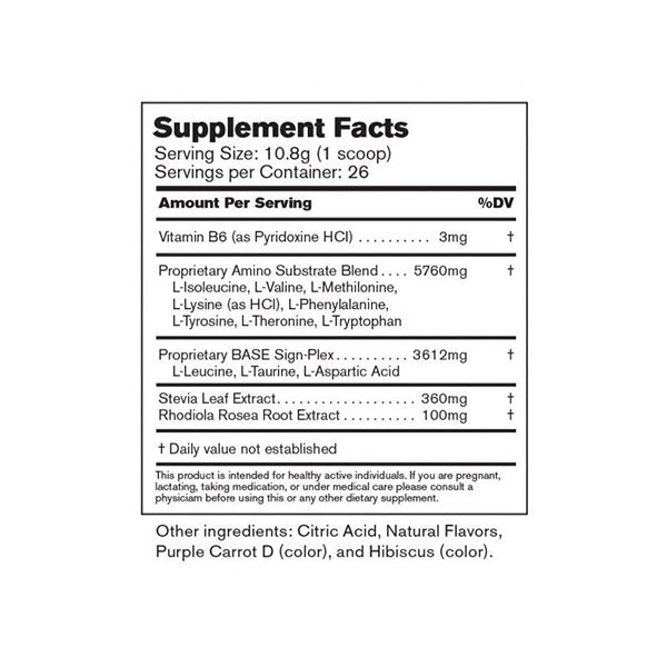 BASE Performance Amino Recovery Mix