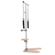 BASI Systems Ped and Pull