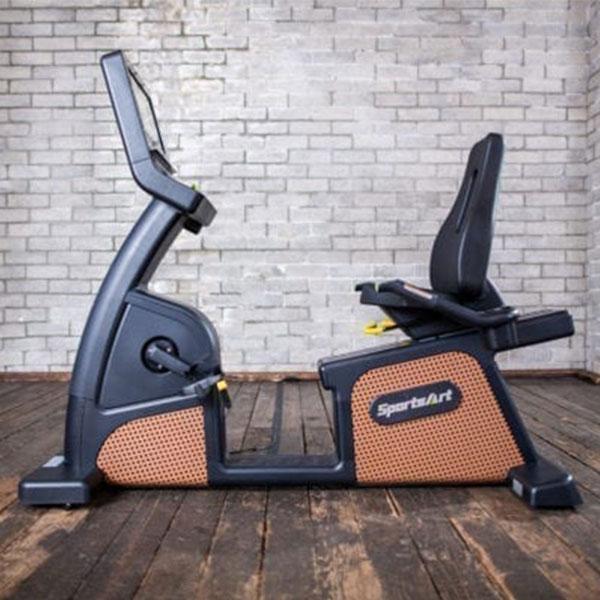 SportsArt C576R Status Eco-Natural Recumbent Cycle