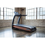 SportsArt N685 Verde Status Eco-Natural Treadmill