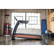 SportsArt N685 Verde Status Eco-Natural Treadmill